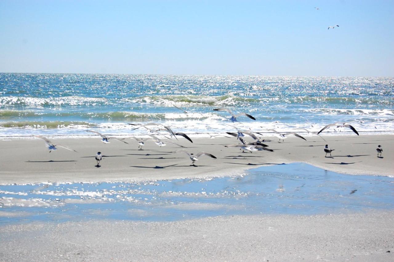 Waterpoint II 402 Daire Myrtle Beach Dış mekan fotoğraf